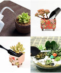 Succulent Planting Tools Set With Watering Pot And Spraying Bottle, 14 Piece All In One Gardening Supplies Kit For Indoor Plant Care And Bonsai Maintenance, Plus Complete Durable Ergonomic Tools For Easy Transplanting And Pruning, shown watering succulents