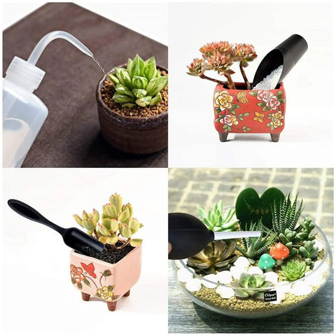 Succulent Planting Tools Set With Watering Pot And Spraying Bottle, 14 Piece All In One Gardening Supplies Kit For Indoor Plant Care And Bonsai Maintenance, Plus Complete Durable Ergonomic Tools For Easy Transplanting And Pruning, shown watering succulents