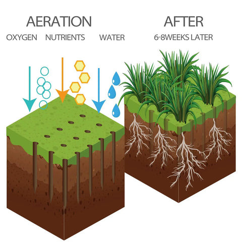 Diagram showing soil aeration and grass growth process with Manual Lawn Aerator Spike Tool With 15 Iron Spikes Pre Assembled Dethatching.
