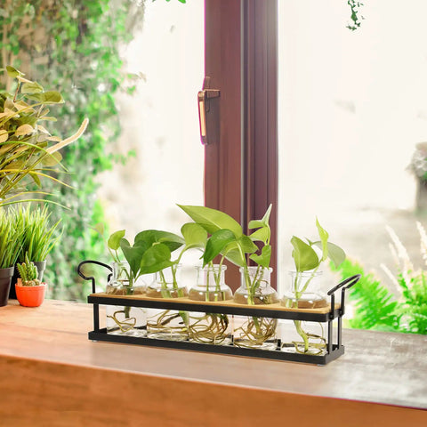 Tabletop Plant Propagation Station With Metal Stand Retro Glass Terrarium For Propagating Hydroponic Cuttings Five Jar Set