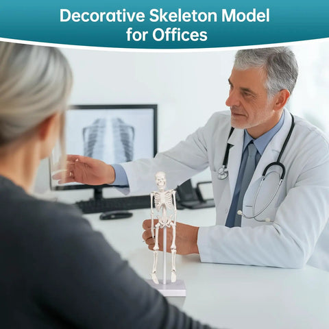 Mini Skeleton Model 7.8 Inch Anatomy Skeleton Figure in doctor's office setting, displayed on desk for decor.