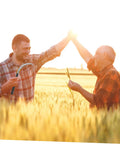 Two men celebrating in a field, one holding a sickle from a 5 Piece Black Gardening Mowing Sickles Set With Ergonomic Non Slip Handles For Easy Weeding And Harvesting Garden Work Durable Steel Blades Built For Agriculture And Landscaping Like A Real Workhorse.