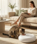 Set It And Forget It Automatic Wet Food Feeder For Cats With Rust Proof Stainless Steel Tray, cat eating from feeder.