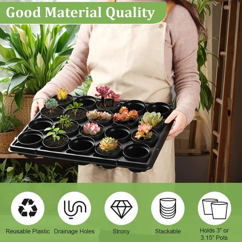 3 Inch Plastic Plant Pots Set With 100 Pots And 5 Pcs 20 Cell Seed Starter Trays held by a person showcasing succulents and seed trays.