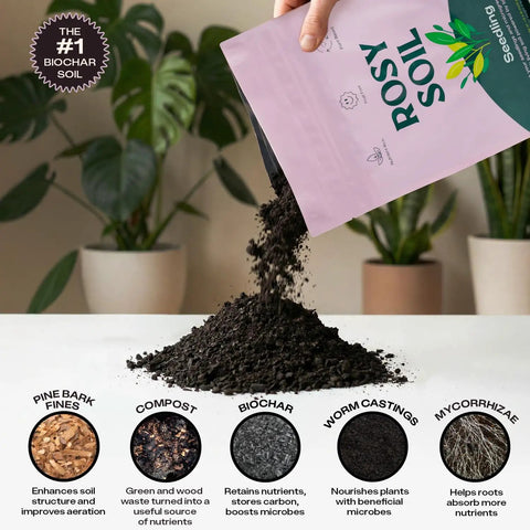 Peat Free Seed Starter Soil Mix For Seeds, Cuttings, And Microgreens With Worm Castings And Root Boosting Biochar, Improves Drainage And Air, Less Gnats, Perfect For Germination And Propagation, 4 Qt