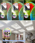Comparison of CRI levels with parrot images; ceiling with Six Inch Canless Recessed LED Light With Junction Box Slim Low Profile 4000K Cool White 12W Equals 110W Dimmable From Five Percent To One Hundred Percent Non Flicker IC Rated ETL Certified 900 Lumens Energy Saver Six Pack installed.