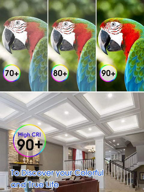 Comparison of CRI levels with parrot images; ceiling with Six Inch Canless Recessed LED Light With Junction Box Slim Low Profile 4000K Cool White 12W Equals 110W Dimmable From Five Percent To One Hundred Percent Non Flicker IC Rated ETL Certified 900 Lumens Energy Saver Six Pack installed.