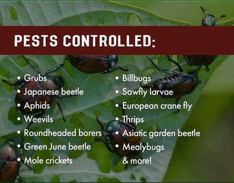Grub Control 32oz Concentrated Imidacloprid Insecticide For Trees Shrubs And Lawn And Landscape Ornamentals Kills Aphids Japanese Beetles Weevils Grub Larvae And More For Healthy Yard And Ornamentals pest control list on a leaf background