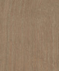 Gel Stain Liquid Wood Finish Kit Featuring Real Paintable Wood Texture And Barn Wood Grain close-up of textured wood surface for DIY projects.