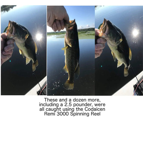 Hand holding a bass caught with Open Face Spinning Reel For Freshwater Fishing, 5.2:1 Gear Ratio, Ultra Smooth 10 Ball Bearings, Long Casting Distance For Bass And Inshore Species, Solid And Budget Friendly Performance For Anglers, Veteran Owned.