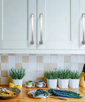 White cabinets with Ten Pack 7 Inch Brushed Satin Nickel Cabinet Pulls For Cabinets And Drawers With 177mm Hole Centers Kitchen Hardware