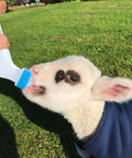 Lamb drinking from Heavy Duty Lamb Feeding Bottle With Super Soft Nipple For Chill Weaning And Straight Up Nutrition Tracking.
