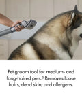 Person using Ball Animal 3 Extra Upright Vacuum With Pet Tools And Tangle Free Turbine Groom Tool on a large dog