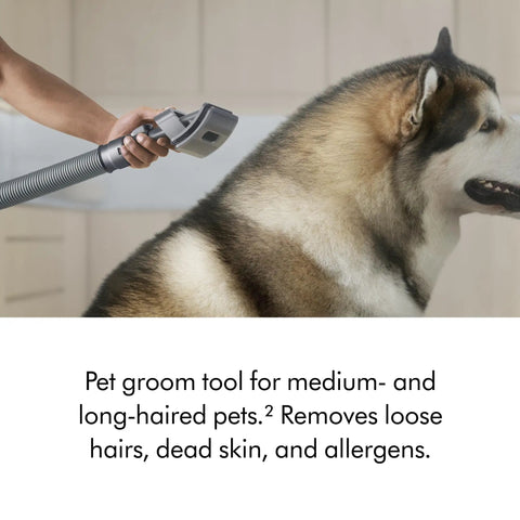 Person using Ball Animal 3 Extra Upright Vacuum With Pet Tools And Tangle Free Turbine Groom Tool on a large dog
