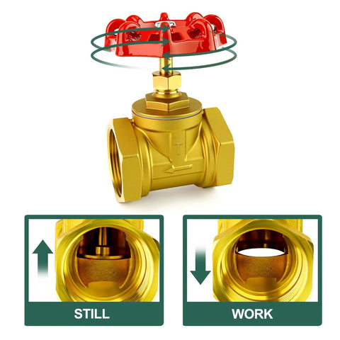 1 Inch NPT Brass Gate Valve Female X Female With Wheel Handle Built Tough Heavy Duty Plumbing Valve 230 PSI Dual View