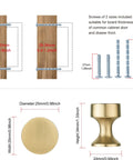 Dimensions and screws for Champagne Bronze Cabinet Knobs 10 Pack Modern Drawer Pulls For Kitchen Cabinets Bathroom And Bedroom Furniture Hardware