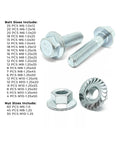 Grade 10.9 JIS Hex Flange Bolts And Serrated Flange Nuts Kit, Heavy Duty 402-Piece Assortment In A 24-Compartment Tray, Great For Auto, Machinery, And DIY Projects, Zinc Clear Finish bolt and nut sizes overview