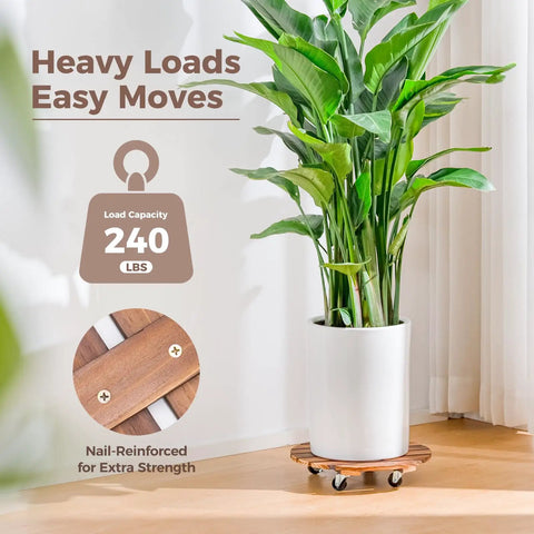 Tough Wood Plant Stand With Wheels 12 Inch Rolling Planter Caddy Four Pack with a 240 lbs capacity for heavy plants indoors.