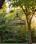 A birdcage hanging in a lush green garden with a small bird flying near it in the morning sun.