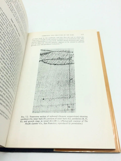 Open book page featuring illustration from 'Wood As Raw Material Go To Guide From Source To Structure Chemistry Growth Degradation And Identification For Builders Woodworkers Engineers And Students A Solid Classic Reference'