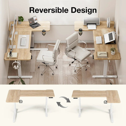 Acrolix L Shaped Electric Standing Desk 51x31.5 Inch with reversible design shown in office setup with two chairs.