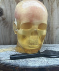 Life-Size Gel Head Target For Shooting And Archery, No Blood Skull And Brain Prop on wooden surface