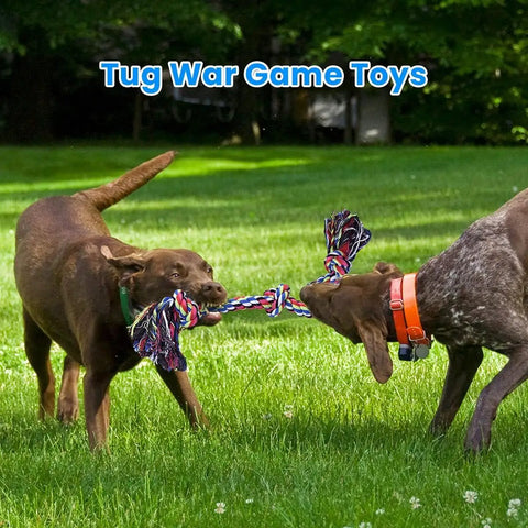Two dogs tugging on Two Pack XL Dog Rope Toys For Large Breed Aggressive Chewers, Indestructible Tug Of War And Teeth Cleaning Chew Toys