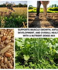 Buffalo Blend Deer Plot Seed With Turnip Radish Clover Wheat Rye And Oats For High Protein Deer Forage Fall And Winter Food Plot Seed For Hunting And Wildlife Growth 5 Pound Bag collage
