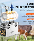 Hands Free Goat Milking Machine With 12 L Stainless Steel Bucket showing vacuum pulsation system and cows in background.