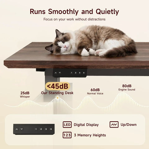 55 Inch Electric Standing Desk Farmhouse Style Sit Stand Workstation Featuring Smooth Silent Motors with cat on wood surface