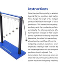 Forced Vibration And Resonance Demonstrator For Physics Teaching Pendulum Resonance Demonstration Kit With 20mm Metal Ball And 5 Steel Balls Metal Construction Classroom Friendly Hands On Learning Tool displayed with instructions