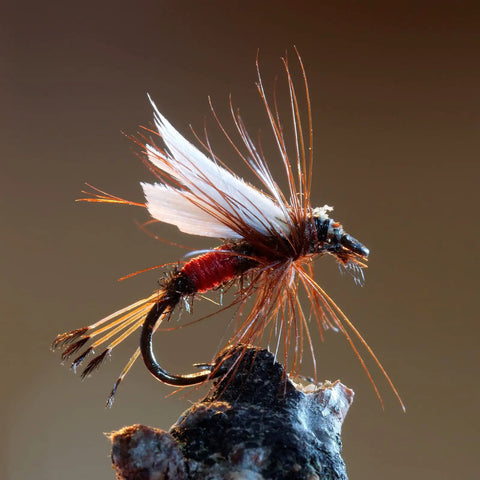 Hand-tied fly in the 30 Piece Fly Fishing Lure Kit Hand Tied Dry Wet Streamers And Nymph Flies For Trout Bass Salmon Assortment
