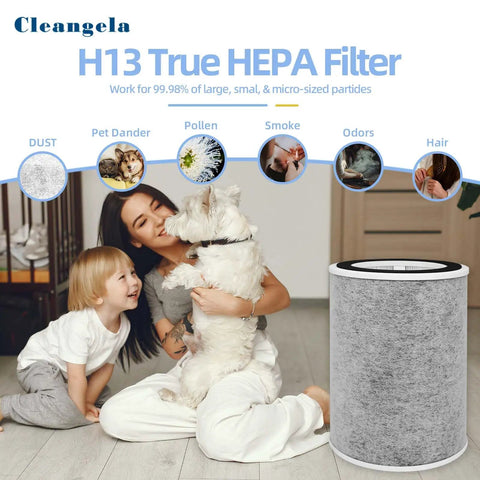 Replacement Filter For Shark HP201 HP202 HP301 HP302 Air Purifiers, 3 In 1 Filter, HC502 Compatible, HE2FKBASMB, Easy Install, Keeps Your Home Air Clean, Fits HP200 And HP300 Series, 2 Pack