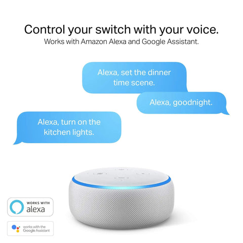 Smart 3 Way Light Switch With Neutral, 2.4GHz WiFi, Works With Alexa And Google Home control feature shown with voice examples