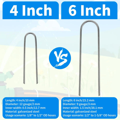 Comparison of 4 inch and 6 inch galvanized U-shaped garden staples for drip irrigation and tubing installation use.