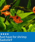 Straight Up Legit Copper Test Kit For Aquariums with vibrant fish swimming among lush green plants in an aquarium setting.