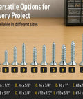 #6 X 1/2 Zinc Plated Flat Head Wood Screws Featuring Phillips Drive in 100 Pack of Premium Carbon Steel Hardware on wood surface.