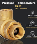 Brass backflow preventer with 1/2 in FNPT, dual check valve and female union inlet/outlet, angled front view.