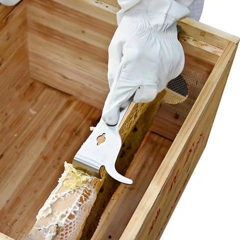 Using 3-Piece Pro-Grade Hive Scraper Tools Set With J-Hook, Polished Stainless Steel Beekeeping Gear For Hive Cleanup And Frame Cleaning
