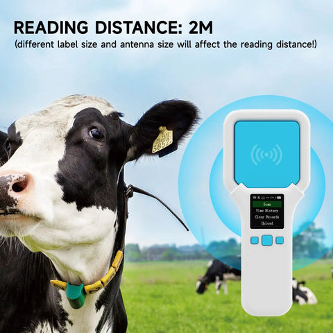 Cow with UHF RFID Reader SR300 Bluetooth Handheld Scanner for 860-960MHz inventory in pastoral landscape.