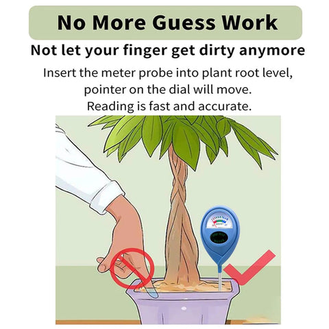 Illustration of Two Pack Soil Moisture Meter For Plants, Plant Water Meter And Hygrometer Kit in use, inserted in plant pot.