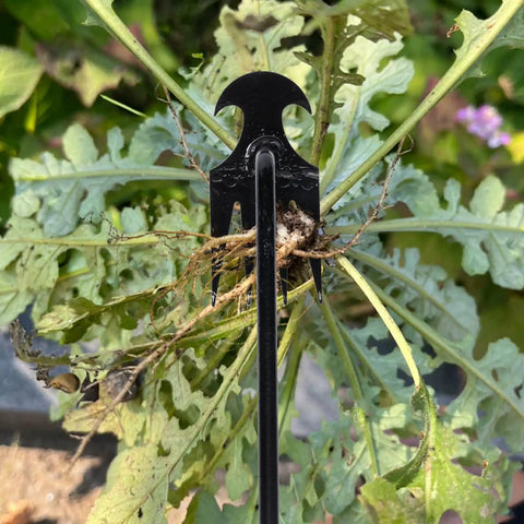 Garden Weed Pulling Tool With Four Teeth Workhorse Weeder For Easy Weeding And Soil Loosening Made From Manganese Steel Ergonomic Hand Tool For Vegetable Gardens Planting Beds Black Finish Two Pack Sixteen Inches, removing weeds