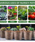 Clear Seed Starter Pots 2.5 Inch, 100 Pack Round Seedling Pots For Germination with seedlings and succulents in pots