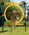 Dog jumping through ring in All In One Dog Agility Training Kit For Backyard And Park Play With Adjustable Hurdles Weave Poles Jump Ring And Portable Outdoor Obstacle Course For Puppies And Active Dogs
