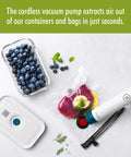 Fresh & Save La Mer Handheld Food Saver Vacuum Pump For Quick Sous Vide Sealing, blueberries in container with vacuum pump