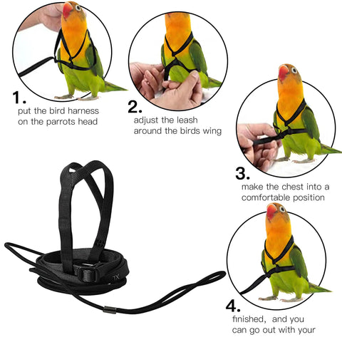 Step-by-step use of XL Parrot Harness And Leash Set For Outdoor Flight Training, Adjustable Anti Bite Design, with bird model.