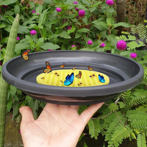 Hand holding a Four Pack Floating Bee Watering Station 7.87 Inch Island Float Tray For Pollinators with bees and butterflies.