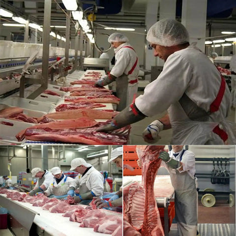 Butchers wearing chainmail apron for butchers heavy duty food grade cut resistant shield with stainless steel mesh and adjustable straps.