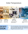 Color temperature chart showing lighting effects from Amber Light 1800K to Cool Light 6500K for different settings.