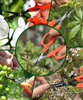 Workhorse 6.3 Inch Harvesting Shears with magnetic springless action used in various plant trimming settings.